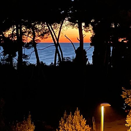 Bambina apartment Rovinj Exterior foto